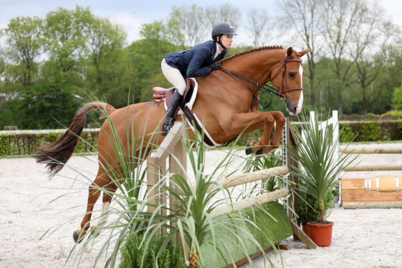 Hunter Jumper Equitation clinics en show op het NHC!