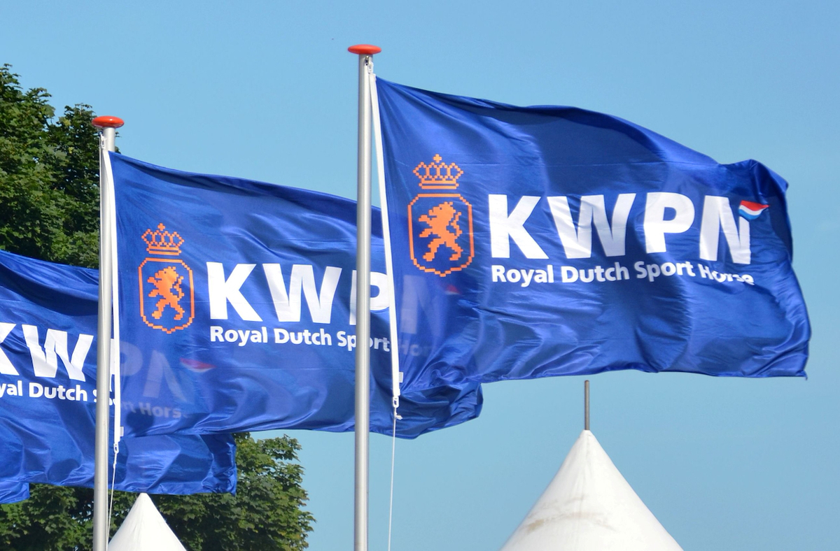 Startlijst online voor tweede zadelpresentatie voorjaarsonderzoek